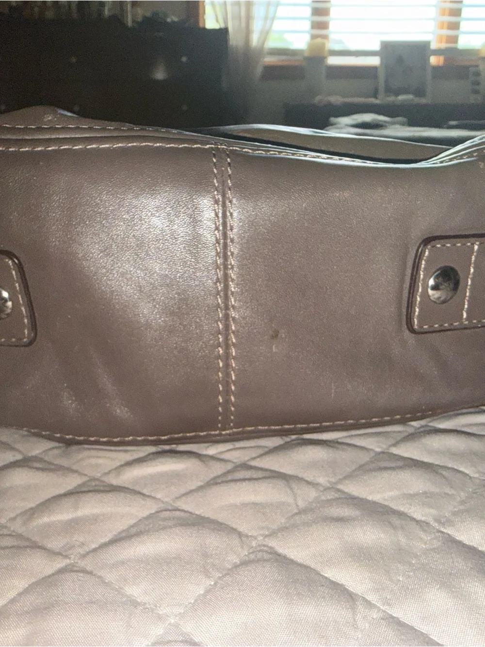 Coach Metallic Brown Leather Hobo Bag